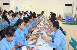 Hình ảnh công nhân - Suất Ăn Công Nghiệp Đại Hàn Kim - Công Ty TNHH Sản Xuất Thương Mại Dịch Vụ Đại Hàn Kim